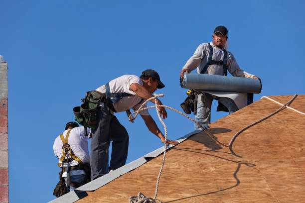 Roof Gutter Cleaning in Murfreesboro, AR